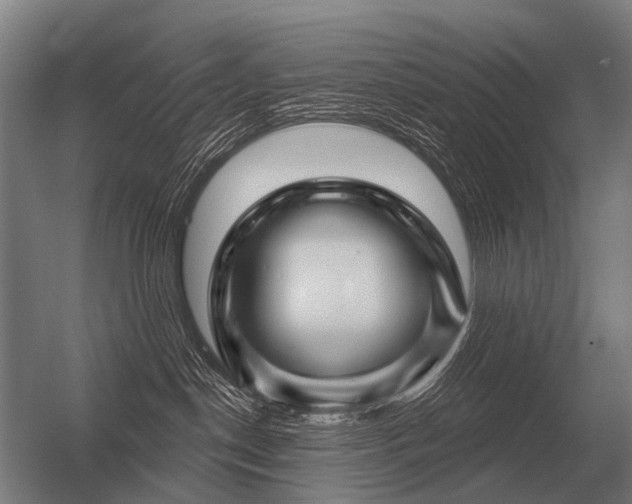 X0000056370190200509021824