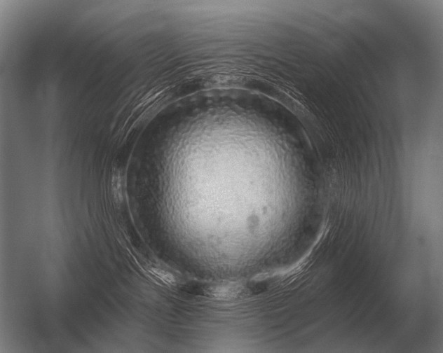 X0000056370191200509021824