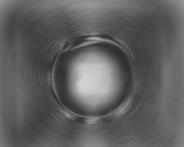 X0000056370192200509021824