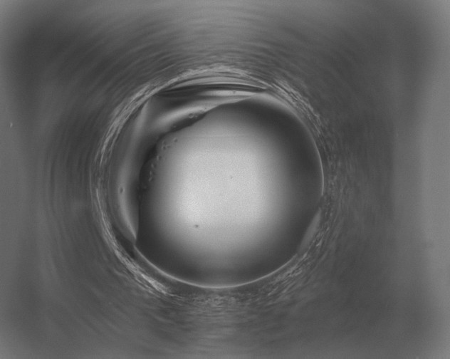 X0000056370193200509021823