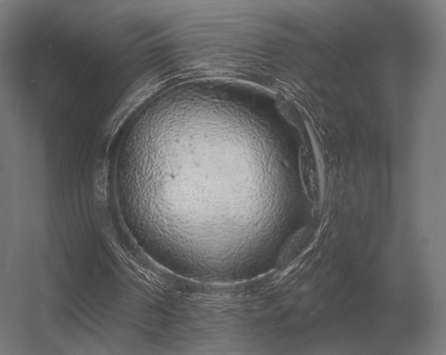 X0000056370194200509021823