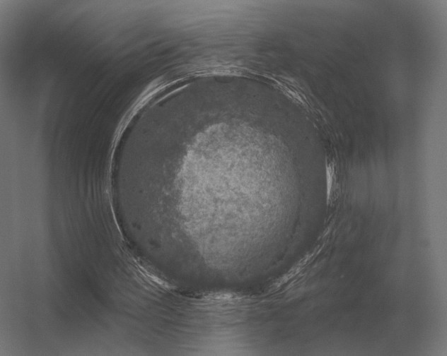 X0000056370195200509021823