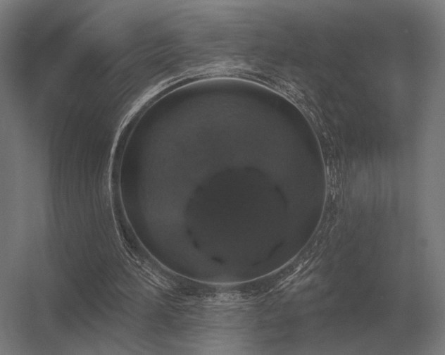 X0000056370196200509021823