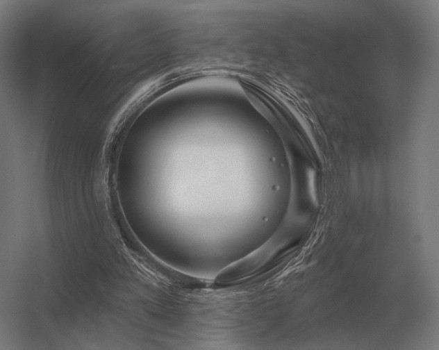 X0000056370197200509021823