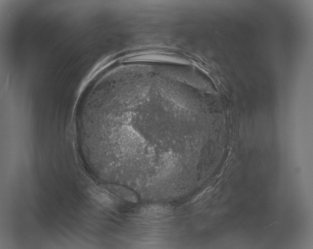 X0000056370198200509021823