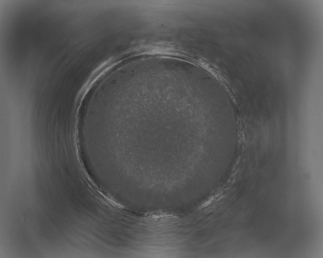 X0000056370199200509021823