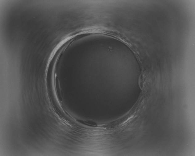 X0000056370200200509021823