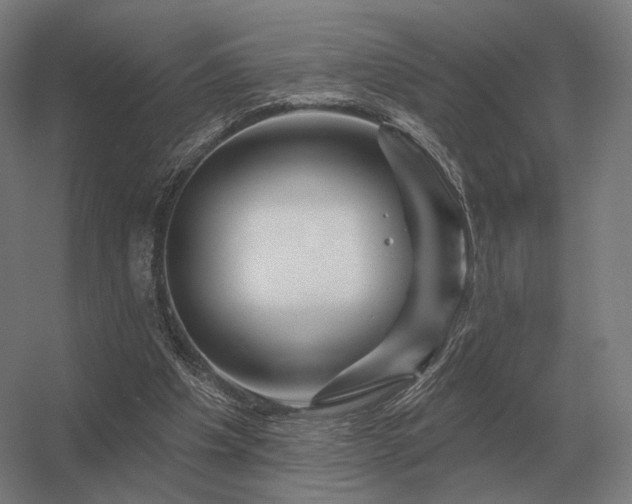 X0000056370201200509021823