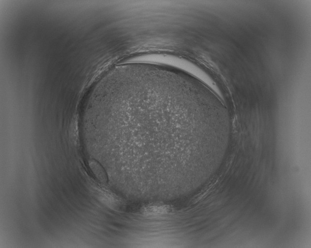 X0000056370202200509021823