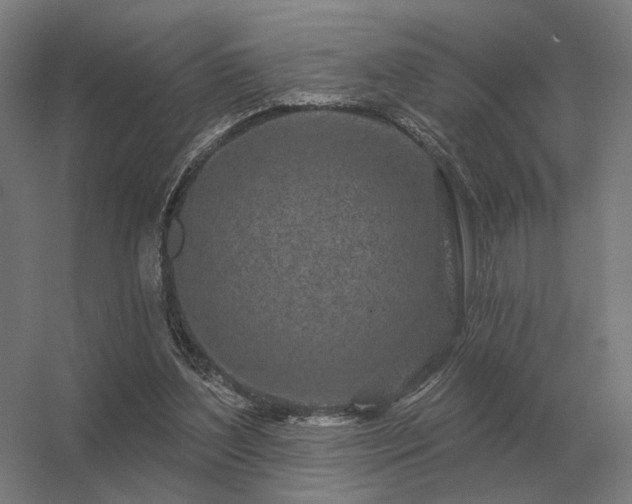 X0000056370204200509021823