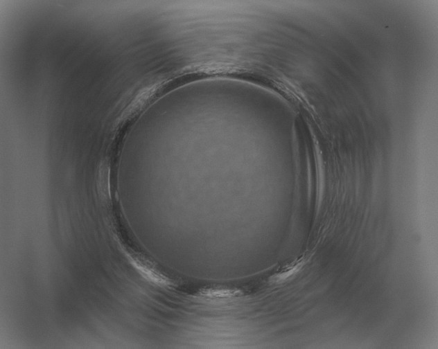 X0000056370205200509021823