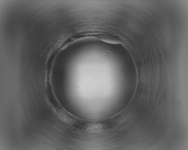 X0000056370206200509021823