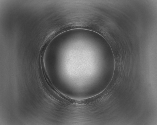 X0000056370207200509021823