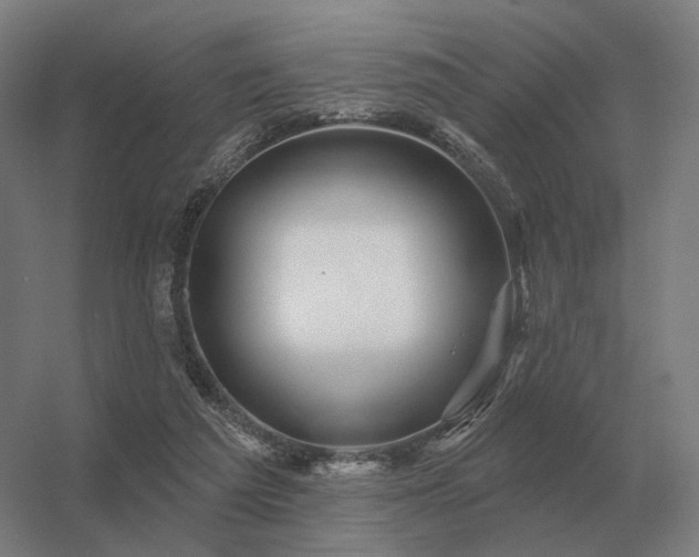 X0000056370209200509021823