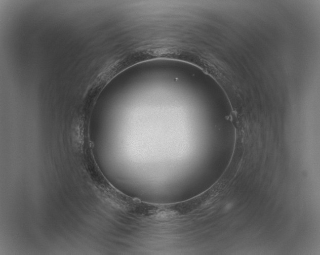 X0000056370210200509021823