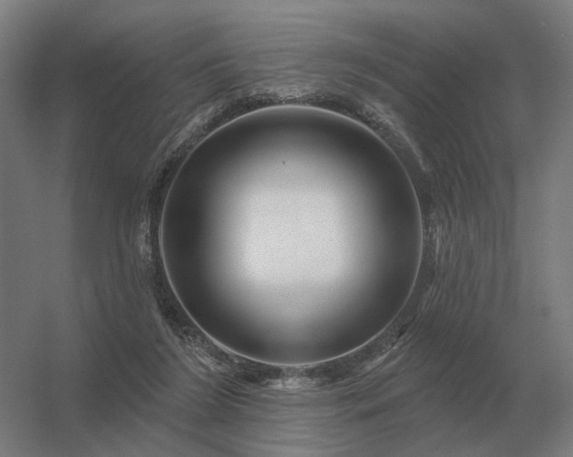 X0000056370212200509021823