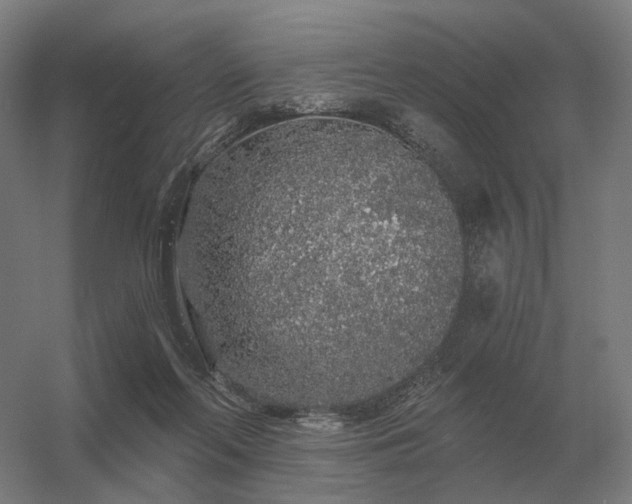 X0000056370214200509021823