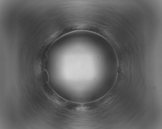 X0000056370216200509021823