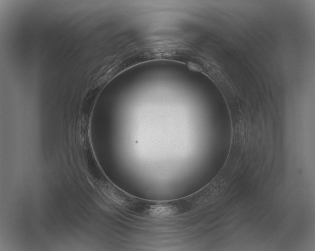 X0000056370218200509021823