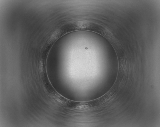 X0000056370220200509021823