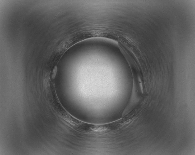 X0000056370221200509021823