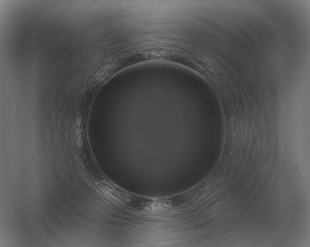 X0000056370223200509021823