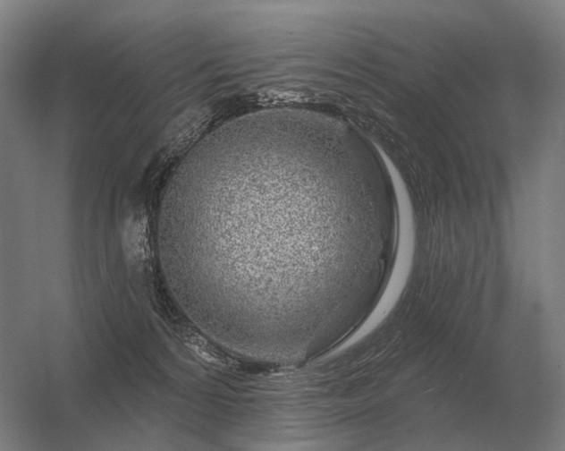 X0000056370224200509021823