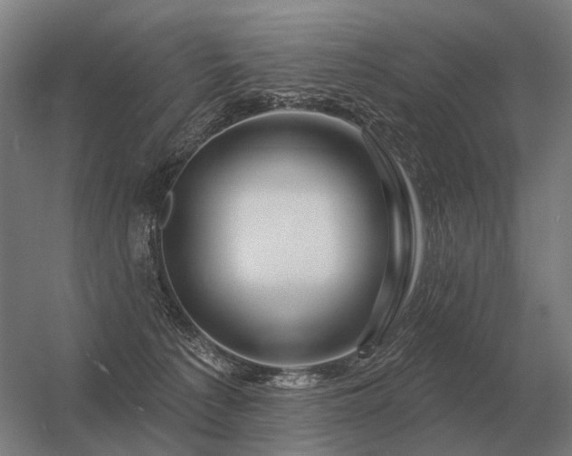 X0000056370225200509021823