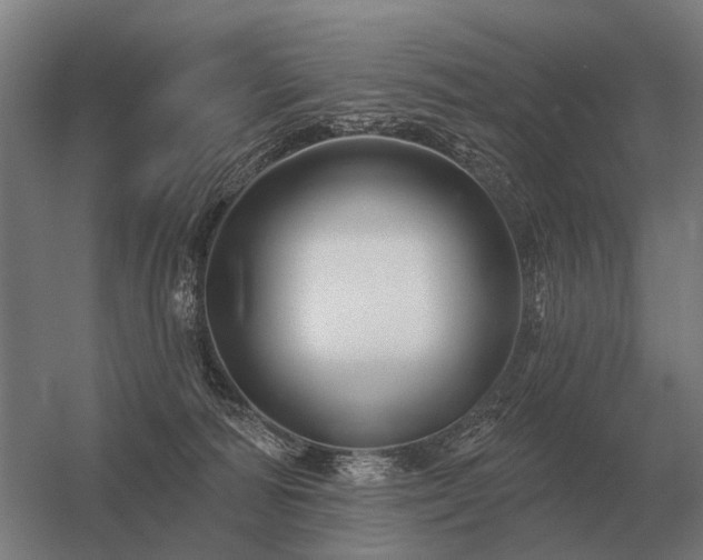 X0000056370226200509021823