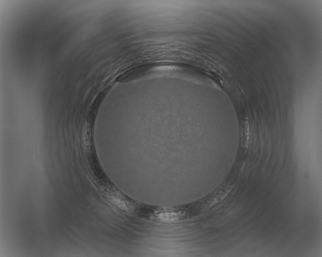 X0000056370228200509021822