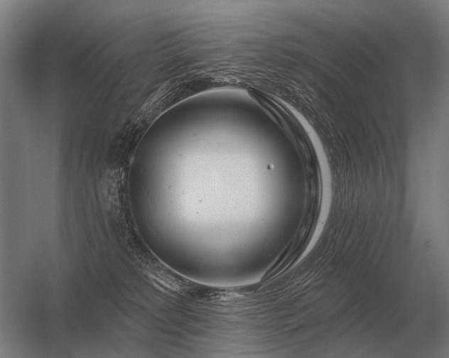 X0000056370229200509021822