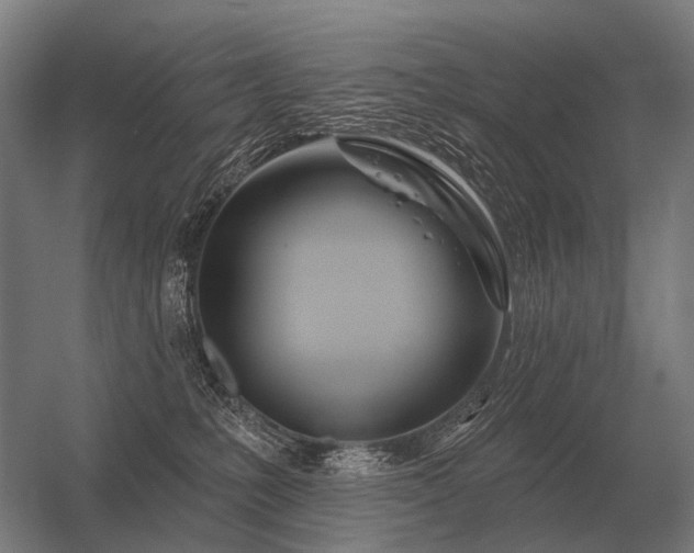 X0000056370231200509021822