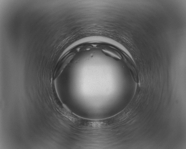 X0000056370233200509021822