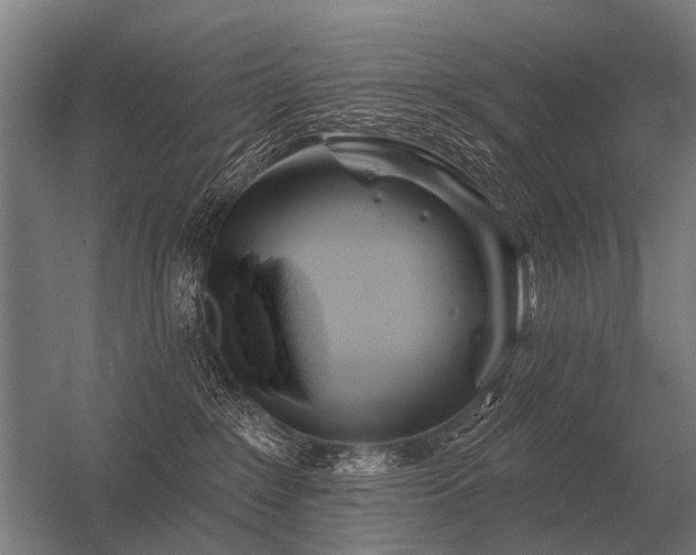 X0000056370235200509021822