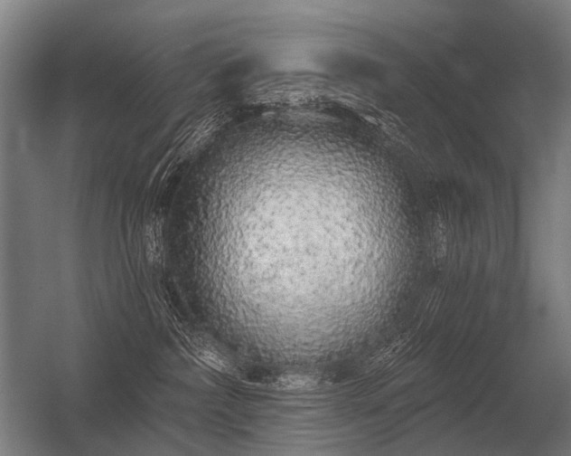 X0000056370236200509021822