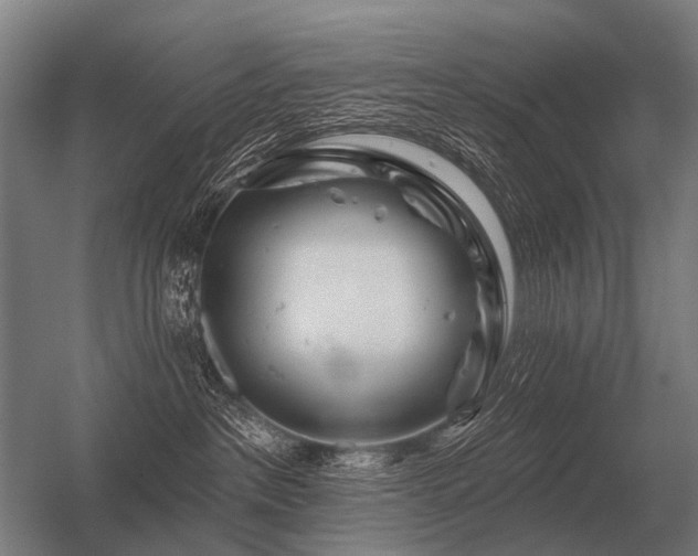 X0000056370237200509021822