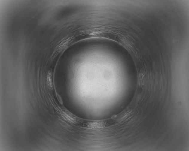 X0000056370238200509021822