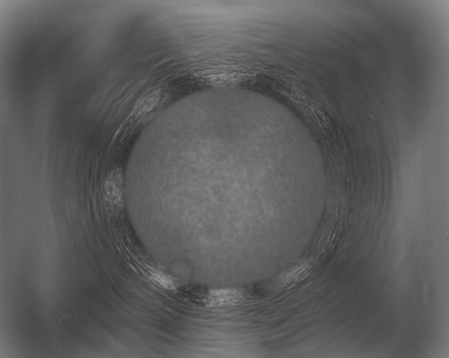 X0000056370240200509021822