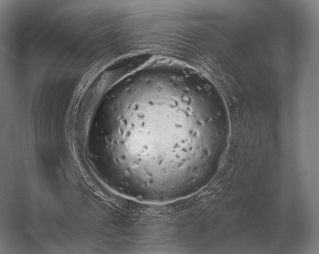 X0000056370241200509021821