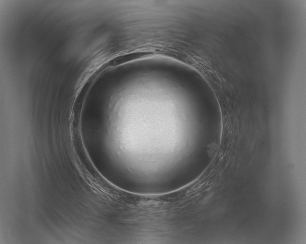 X0000056370242200509021821