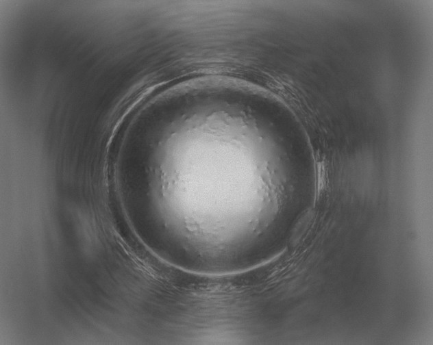 X0000056370243200509021821