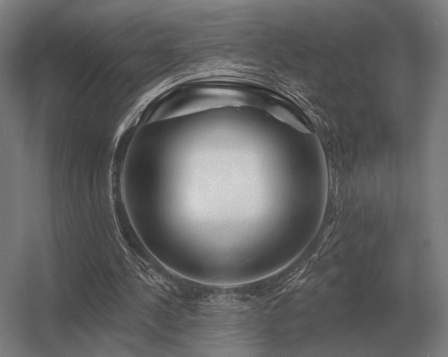 X0000056370244200509021822