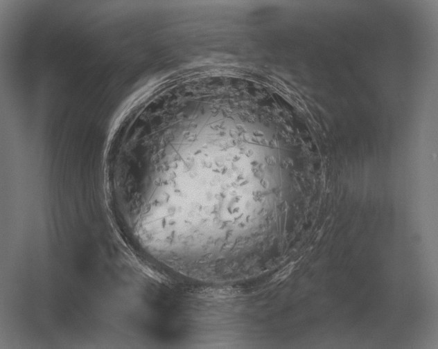 X0000056370245200509021822