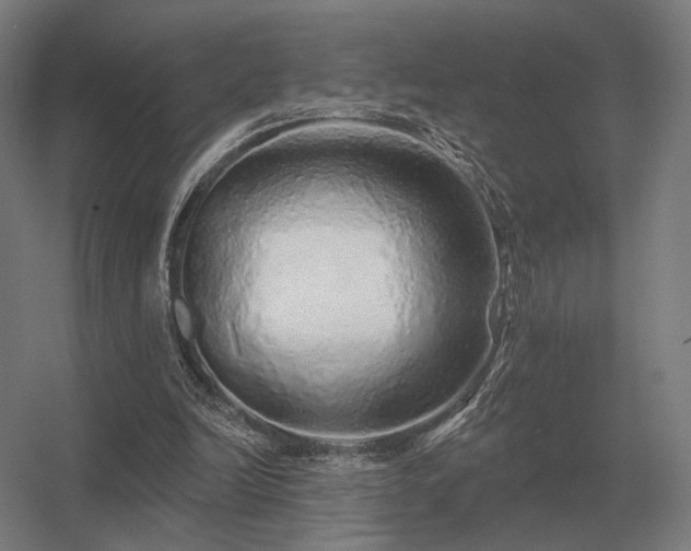 X0000056370246200509021822