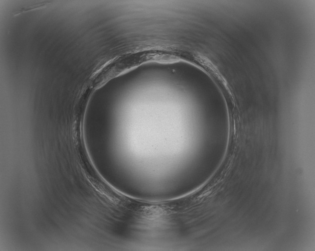 X0000056370249200509021822