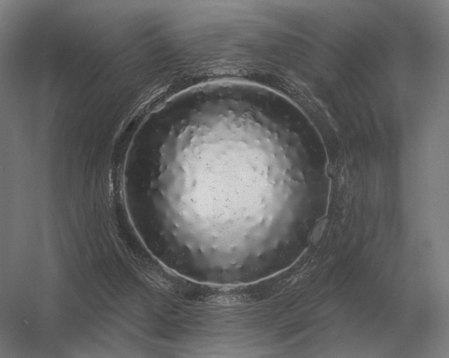 X0000056370250200509021822