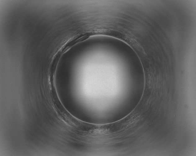 X0000056370251200509021822