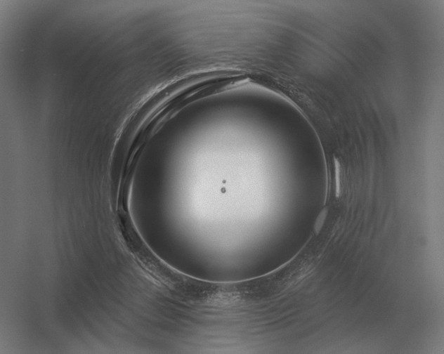 X0000056370252200509021822