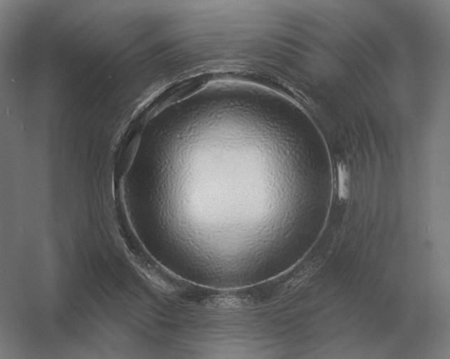 X0000056370253200509021822