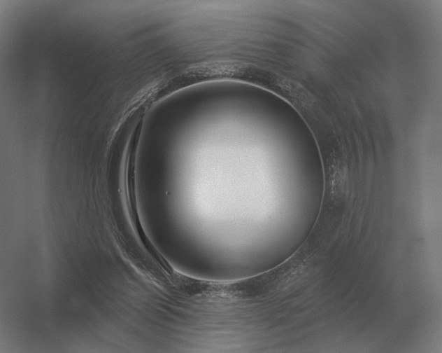 X0000056370254200509021822